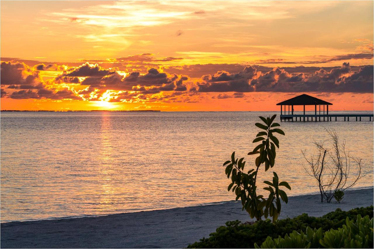 אדו אטול South Palm Resort Maldives With First-Ever Floating Spa מראה חיצוני תמונה